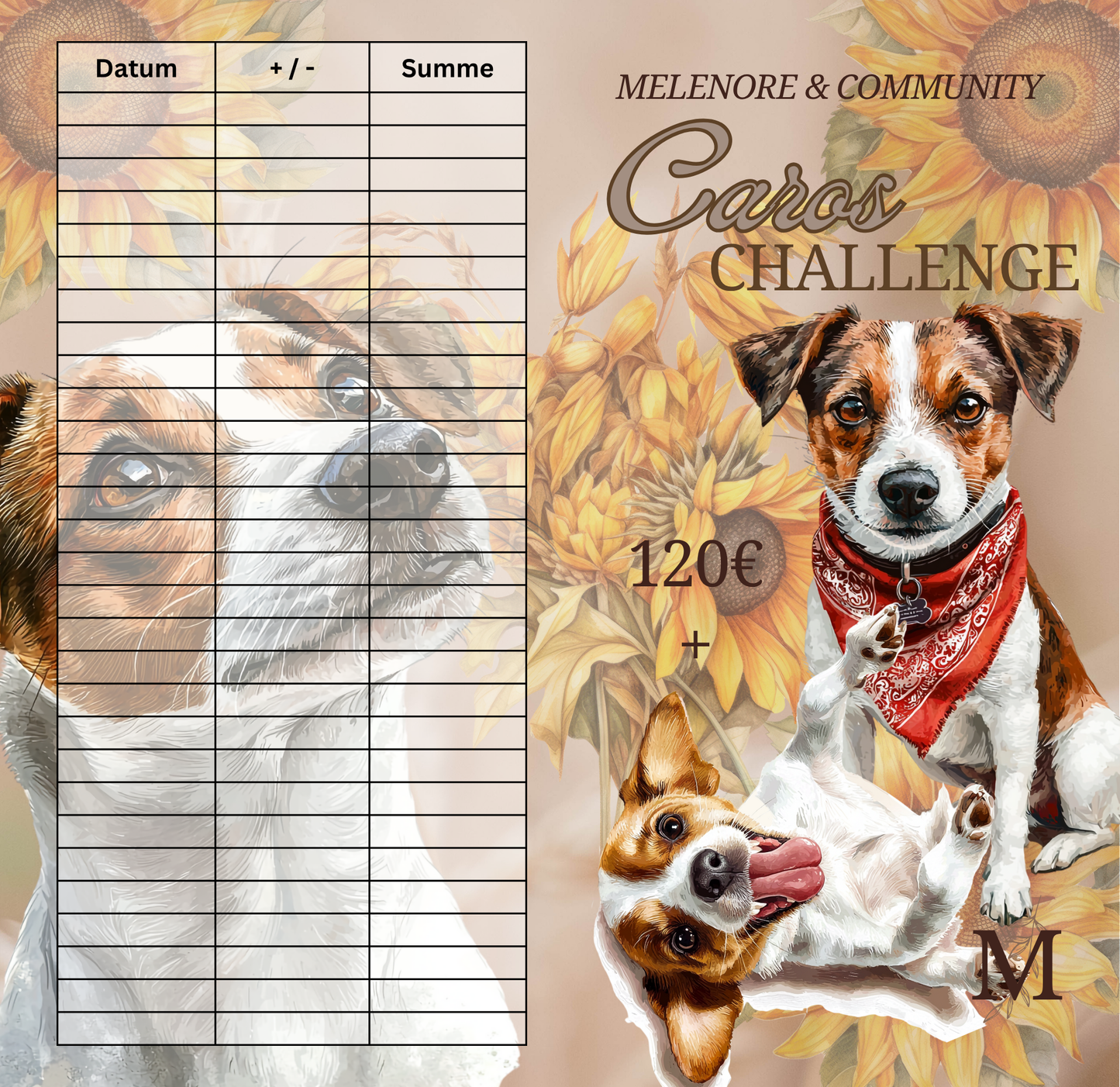 Caros Challenge