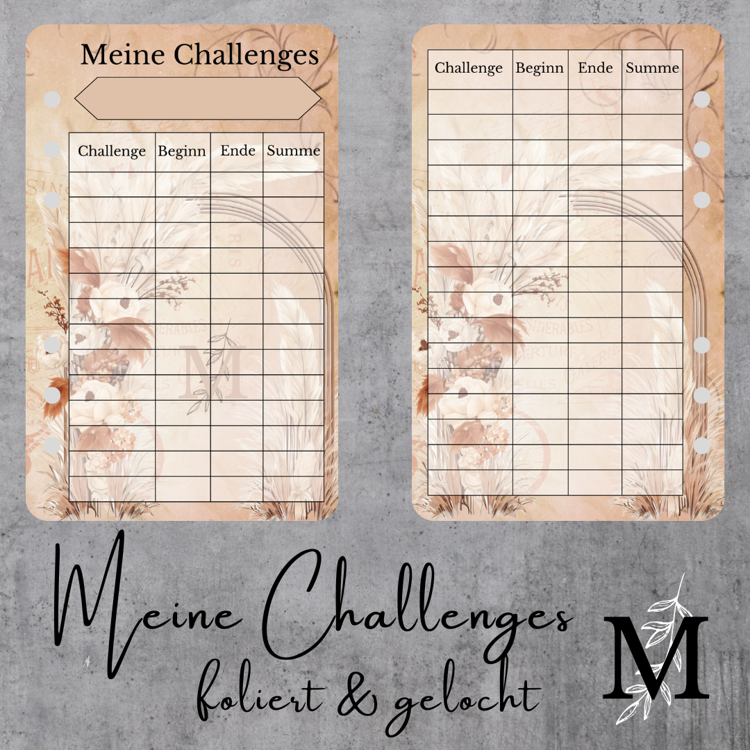 Meine Challenges