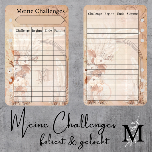 Meine Challenges