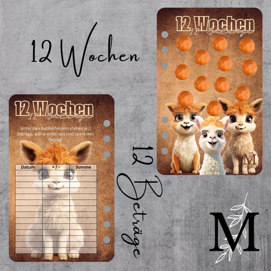 12 Wochen 12 Beträge